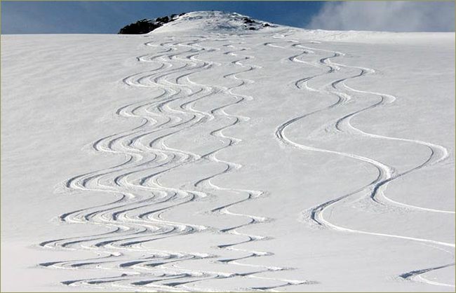 AIARE Avalanche Level 1 Course  with the Northwest Mountain School